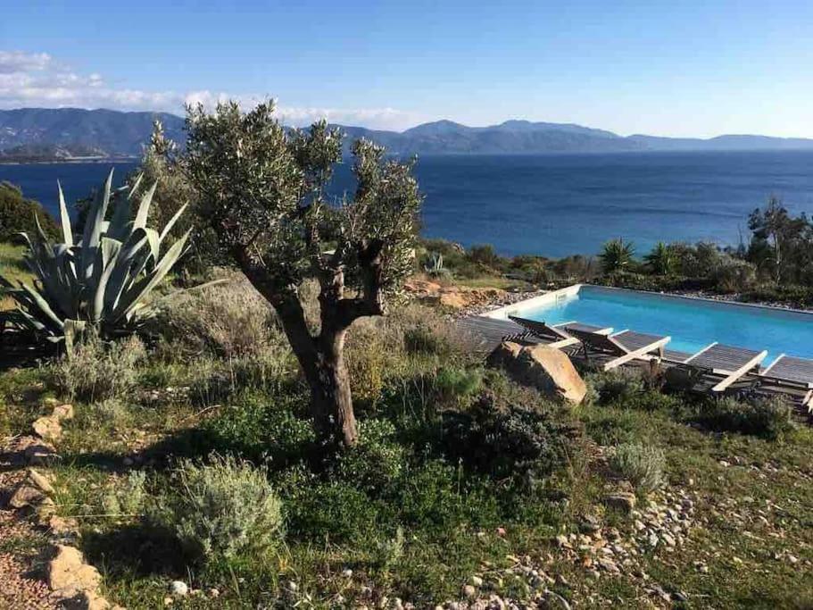 Casa Turrigiani Villa Sagone  Luaran gambar