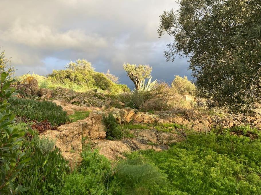 Casa Turrigiani Villa Sagone  Luaran gambar