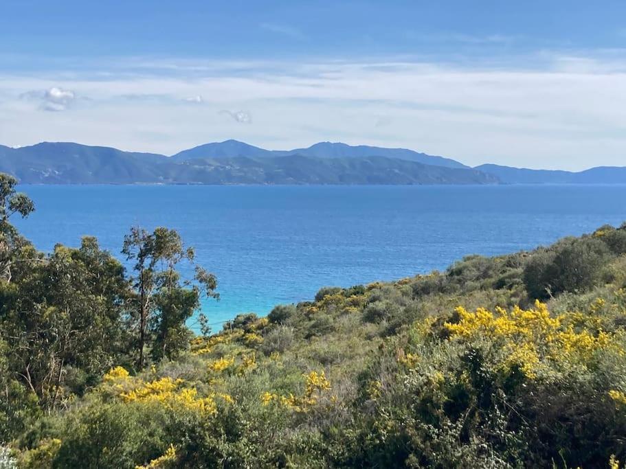 Casa Turrigiani Villa Sagone  Luaran gambar
