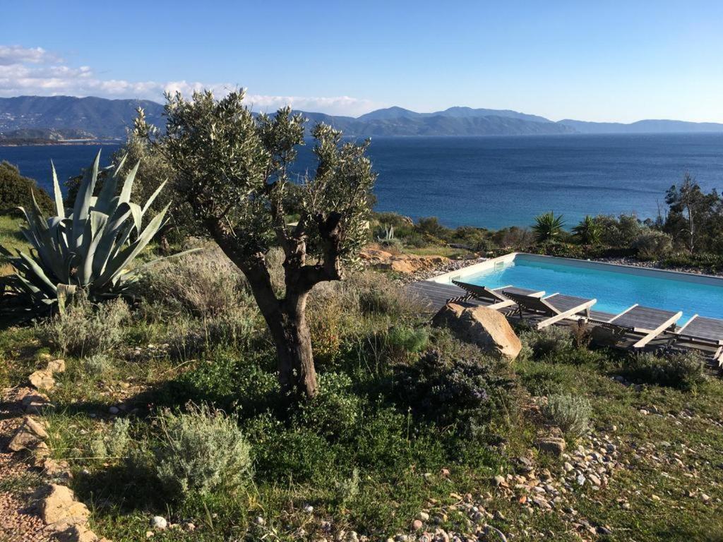 Casa Turrigiani Villa Sagone  Luaran gambar