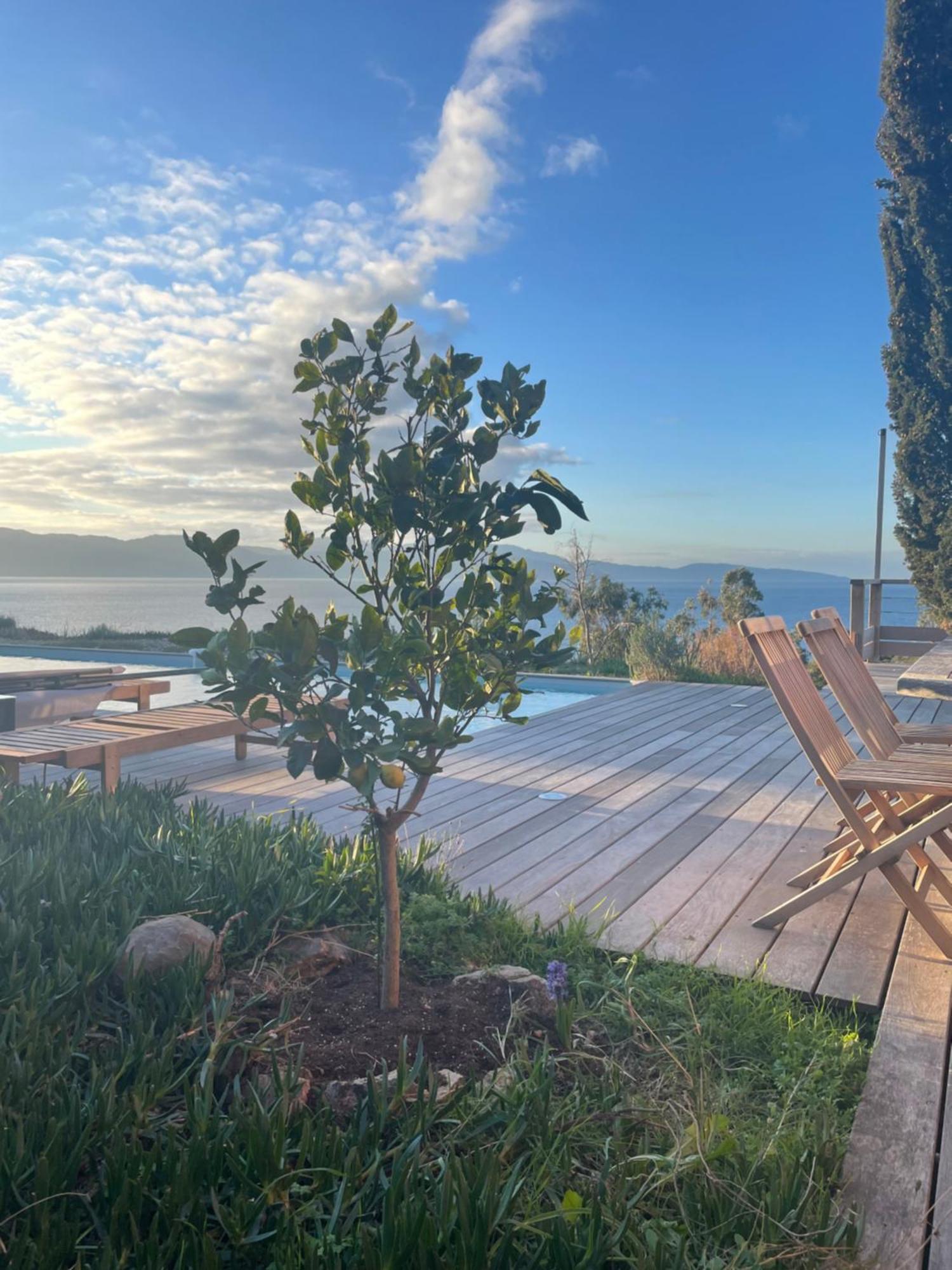 Casa Turrigiani Villa Sagone  Luaran gambar